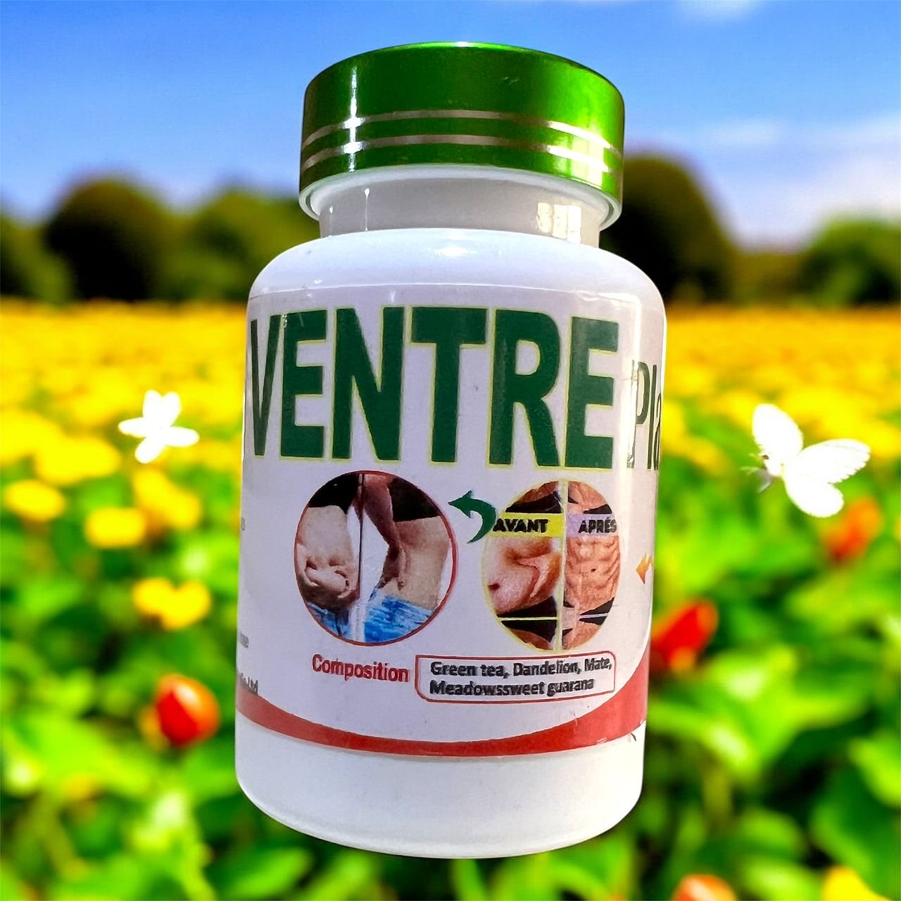 Ventre plat